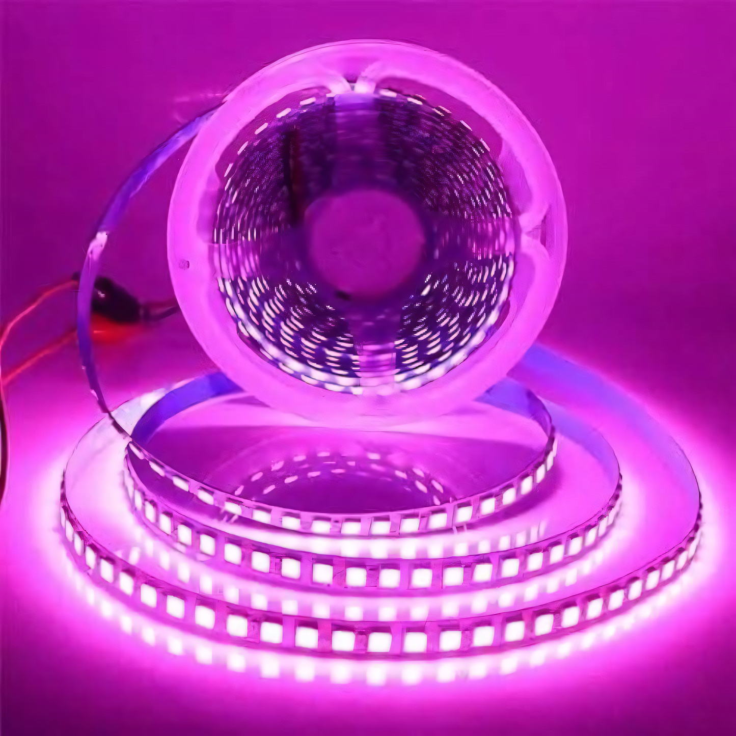 StripX 240 LED Individual Colour Strip with Driver